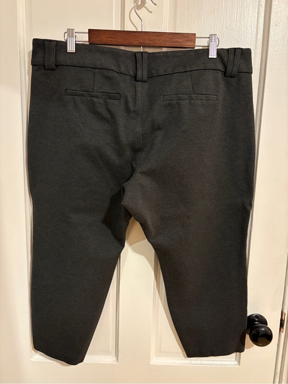 Torrid Studio Knit Capri Trousers - Picture 2 of 6